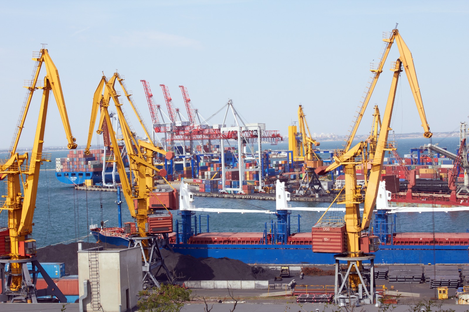 WhatsApp Image 2024-11-17 at 09.57.44_b4e29c94